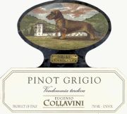 Pinot grigio_Colavini
